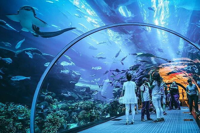 Dubai Acquarium