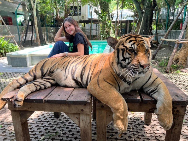 Tiger Park